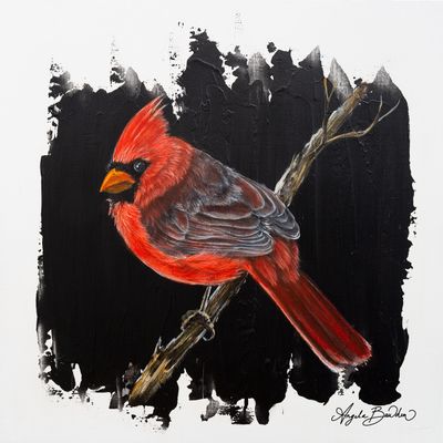 Quiet Perch: Red Cardinal looking back 12X12" Art Print