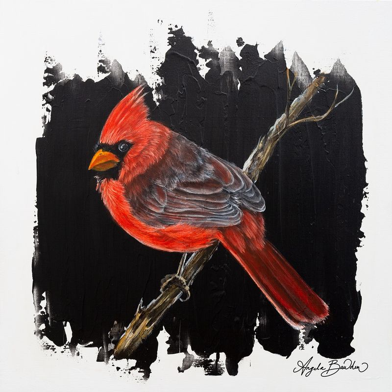 Quiet Perch: Red Cardinal looking back 12X12" Art Print