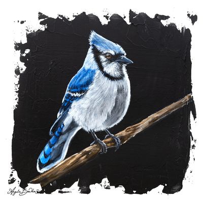 Quiet Perch Series: Blue Jay '2' 12X12" Art Print