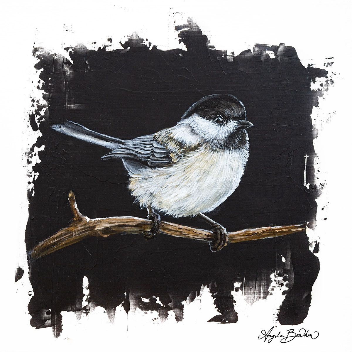 Quiet Perch Series: Carolina Chickadee 12X12" Art Print