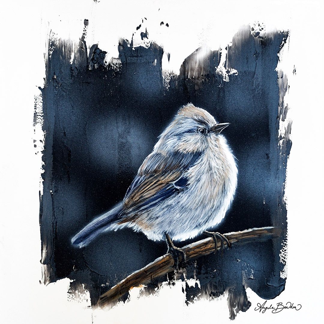 Quiet Perch Series: Sparrow  12X12" Art Print