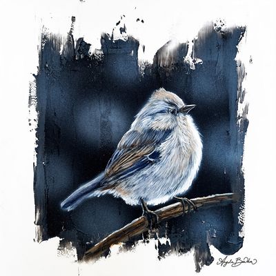 Quiet Perch Series: Sparrow  12X12" Art Print