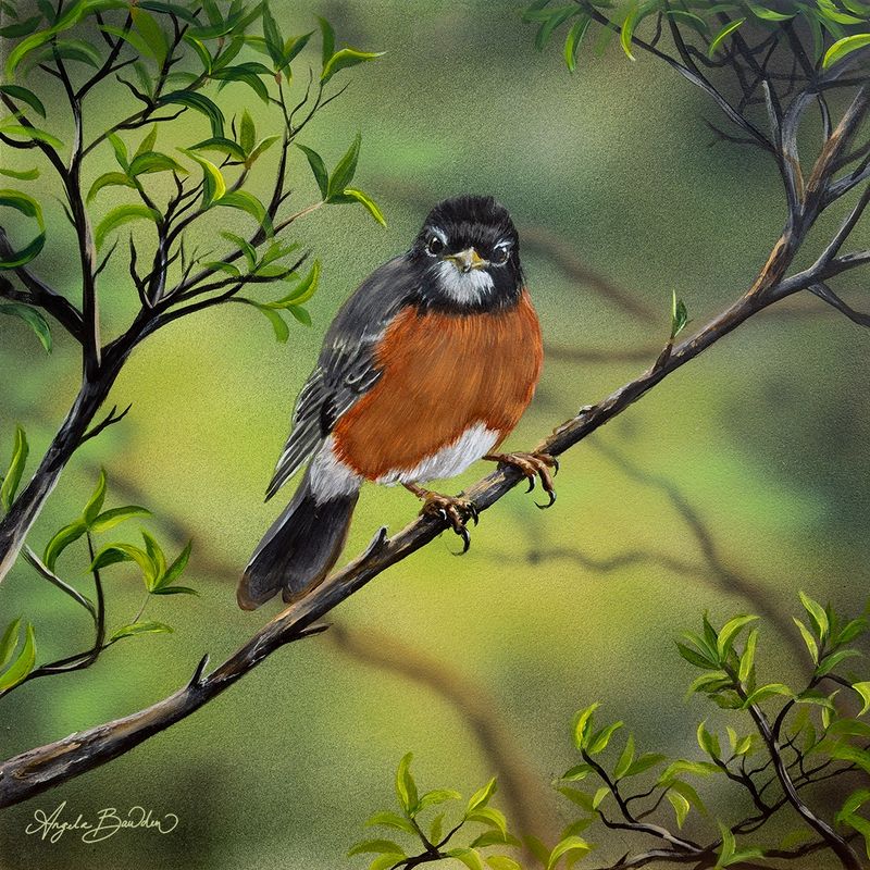 Nature's Song Robin 12X12" Original Painting