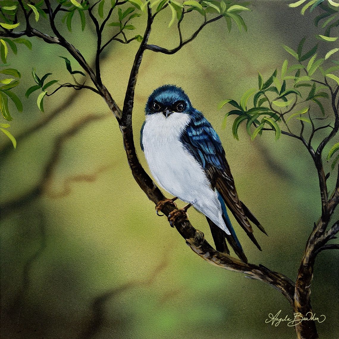 Nature's Song Tree Swallow 2 12X12" Original Painting