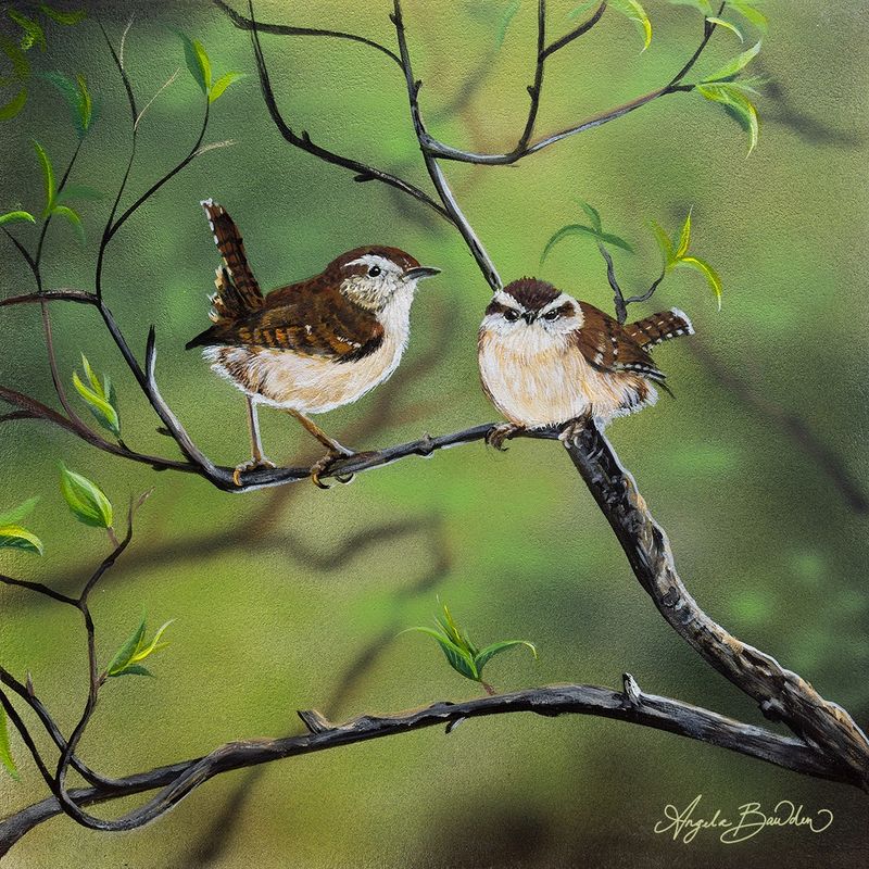 Nature's Song: Carolina Wrens 12X12" Original Painting