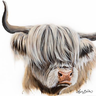 Blanca  Highland Cow -12X12" Art Print