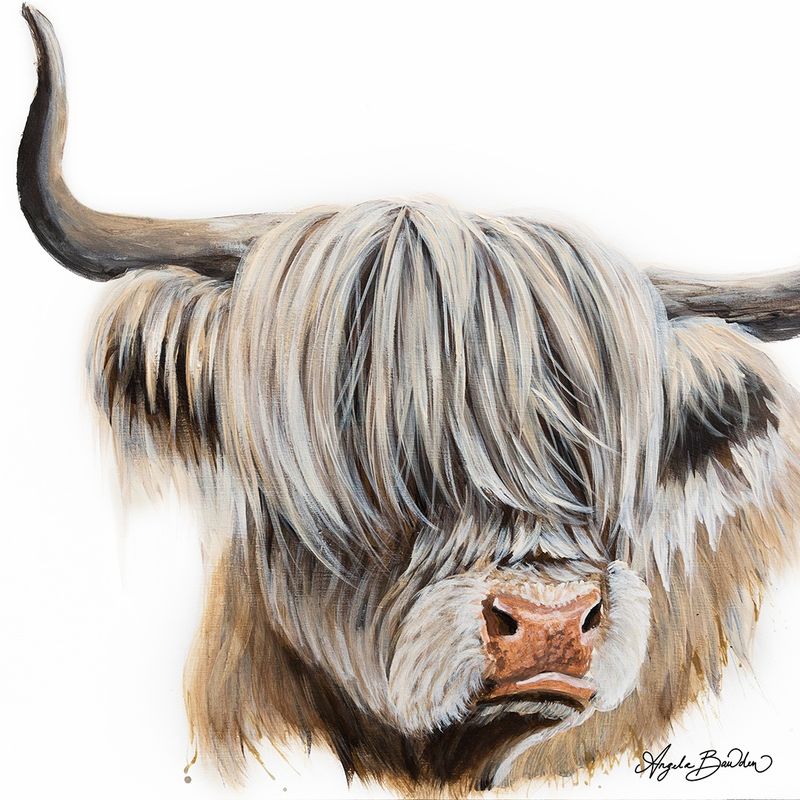 Blanca  Highland Cow -12X12" Art Print