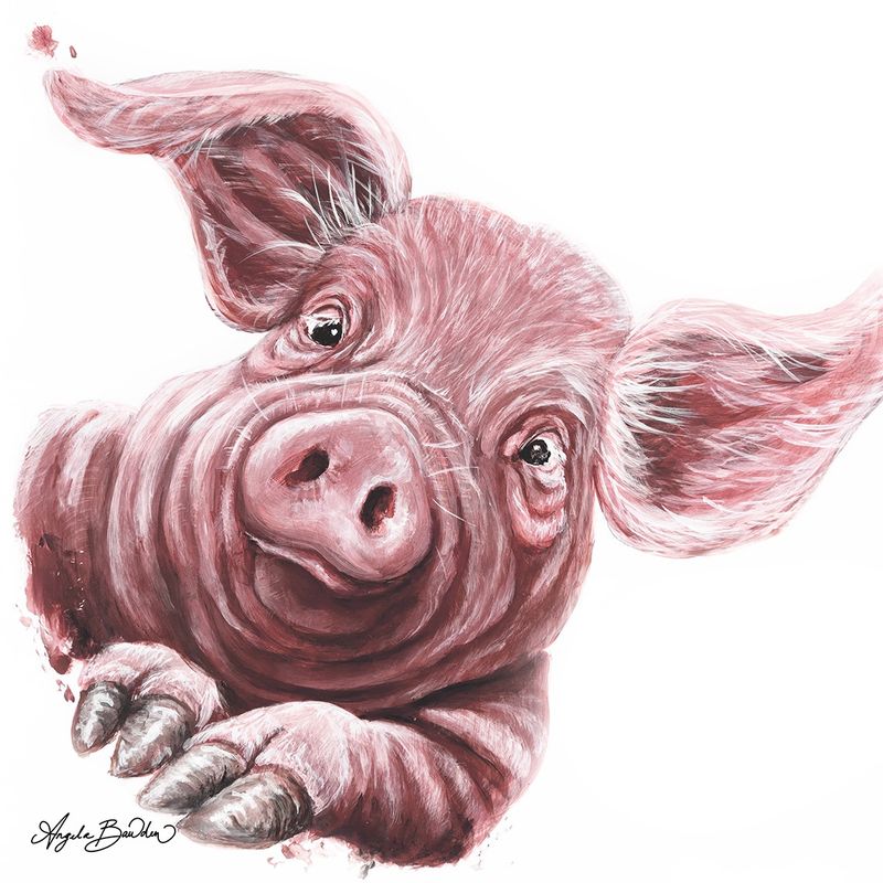 This Little Piggy's Toes 12X12" Art Print
