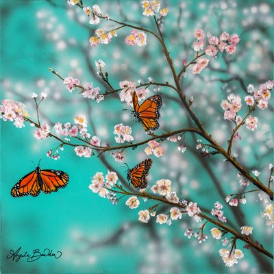 Butterflies and Blossoms 12X12" Art Print