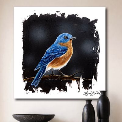 Quiet Perch: Eastern BlueBird 3-16X16" Giclée Canvas
