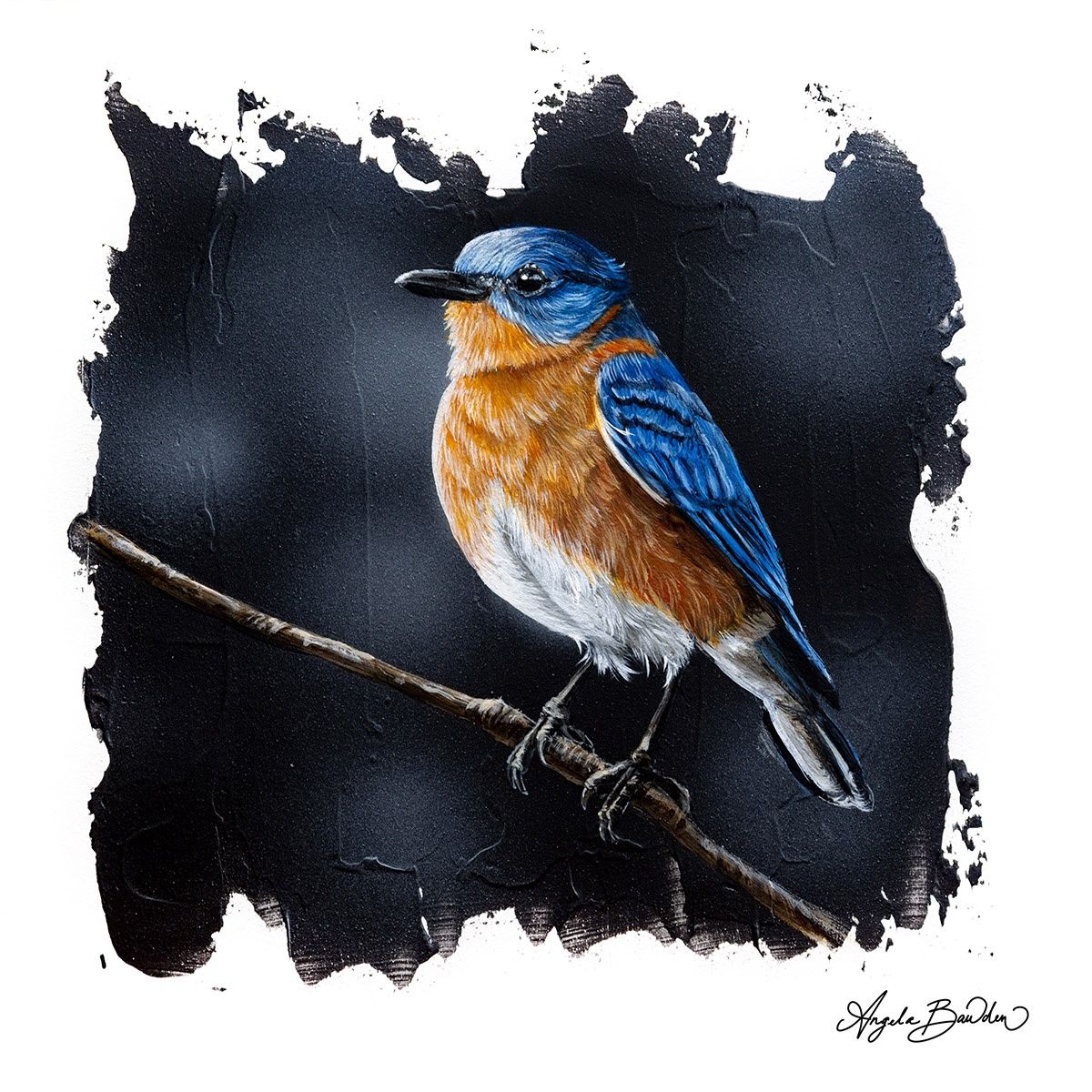 Quiet Perch: Eastern BlueBird 2-16X16" Giclée Canvas