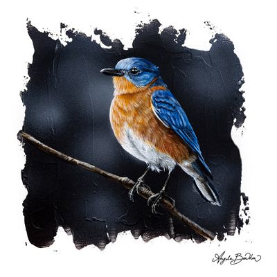 Quiet Perch: Eastern BlueBird 2-16X16" Giclée Canvas