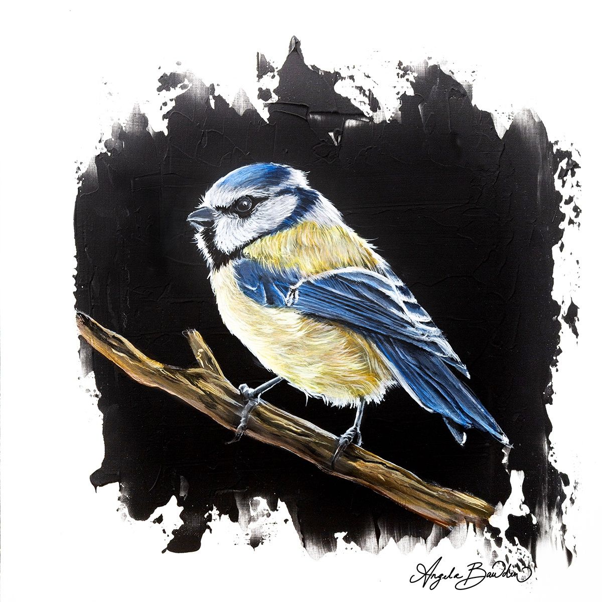 Quiet Perch: Blue Tit Bird 2-16X16" Giclée Canvas