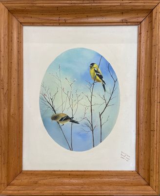 Perched Yellow Finches-16X20" Original Painting