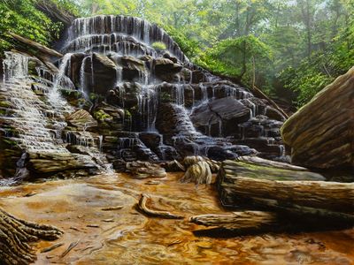 Yellow Branch Falls 18X24" art print by Angela Bawden