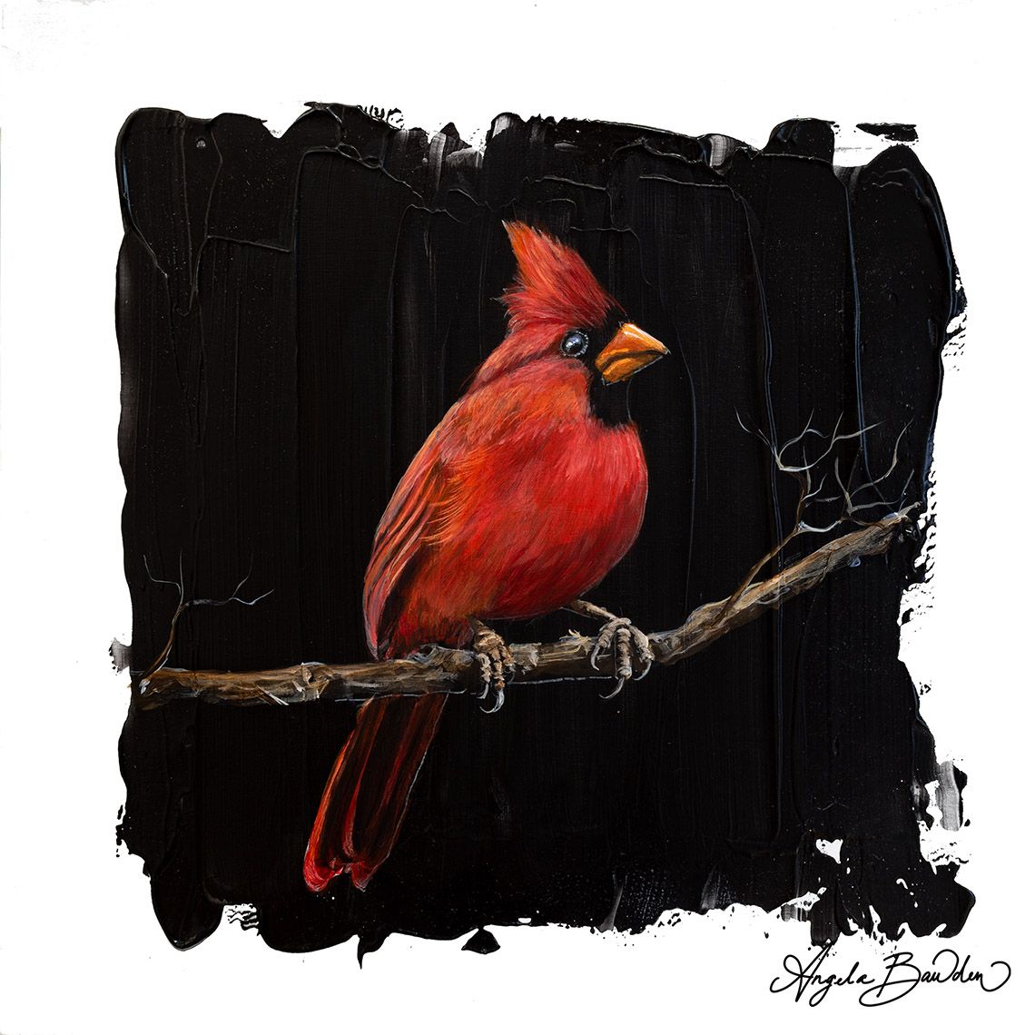 Quiet Perch Series"Cardinal 5  12X12" Art Print
