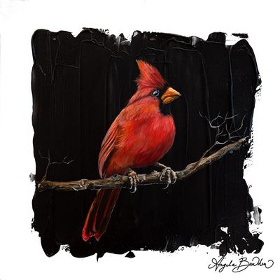 Quiet Perch Series"Cardinal 5  12X12" Art Print