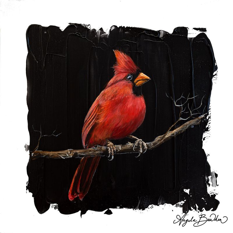 Quiet Perch Series"Cardinal 5  12X12" Art Print