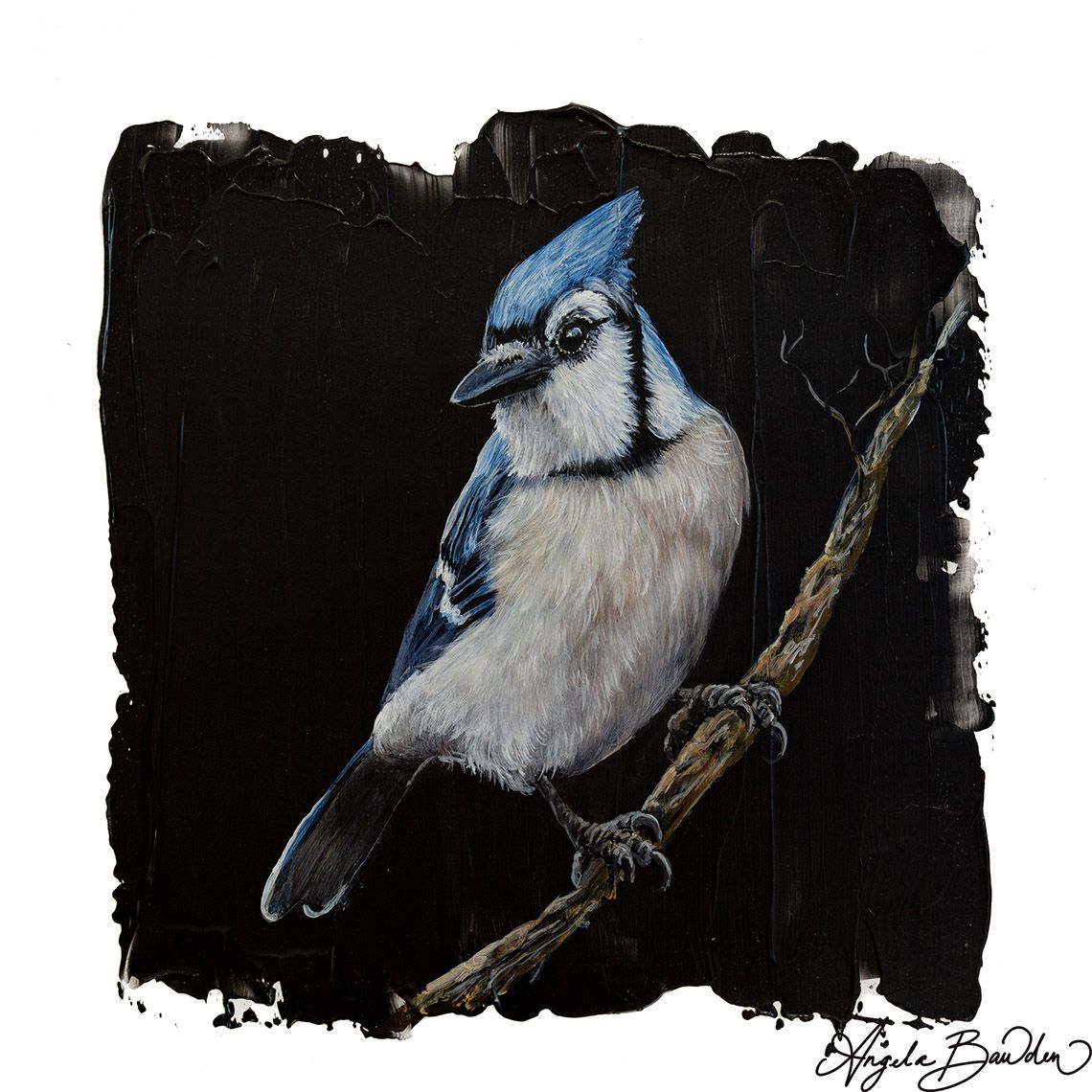 Quiet Perch Series: Blue Jay '3' 12X12" Art Print