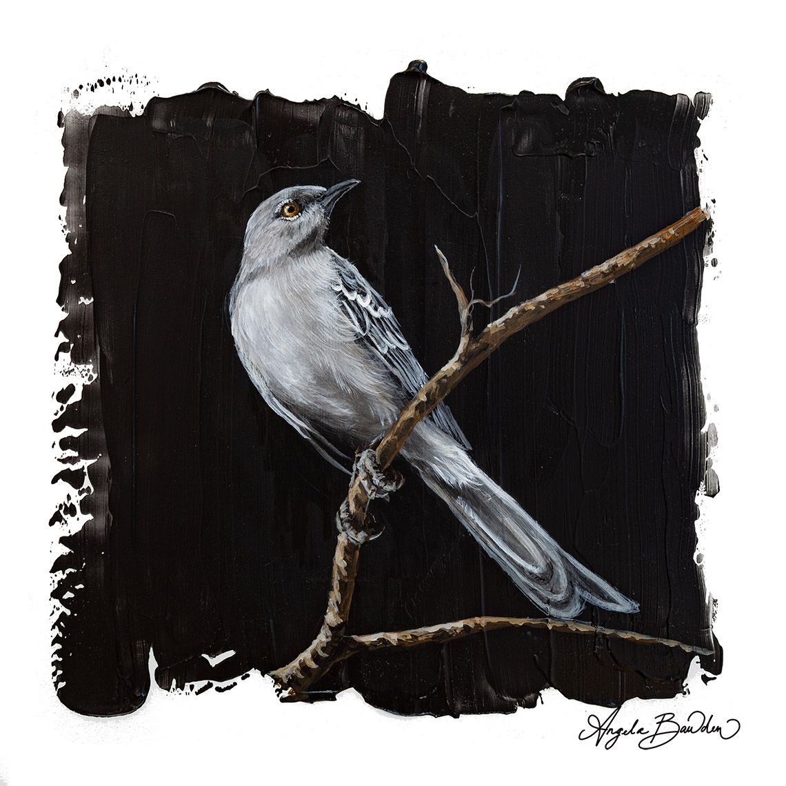 Quiet Perch: Mockingbird 3 - 12X12" art print