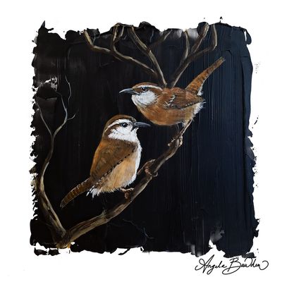Quiet Perch: Carolina Wren Birds - 12X12" art print