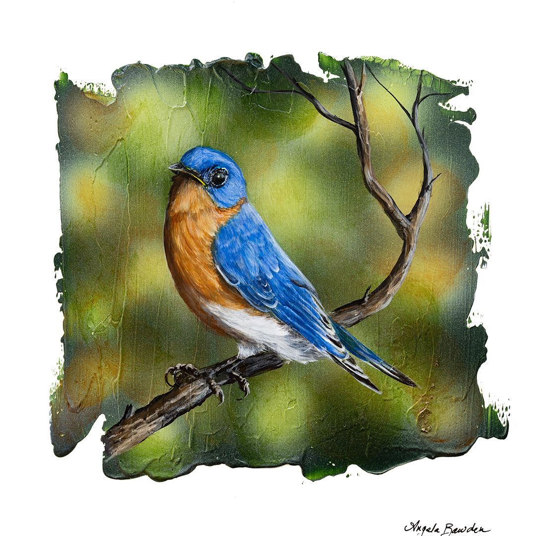 Birds Of Blue Ridge: Eastern BlueBird 12X12" Original Painting
