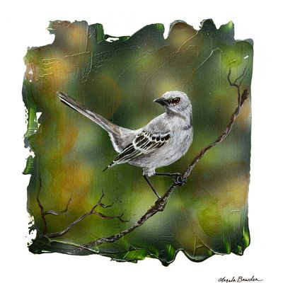 Birds Of Blue Ridge: Mockingbird 12X12" Original Painting