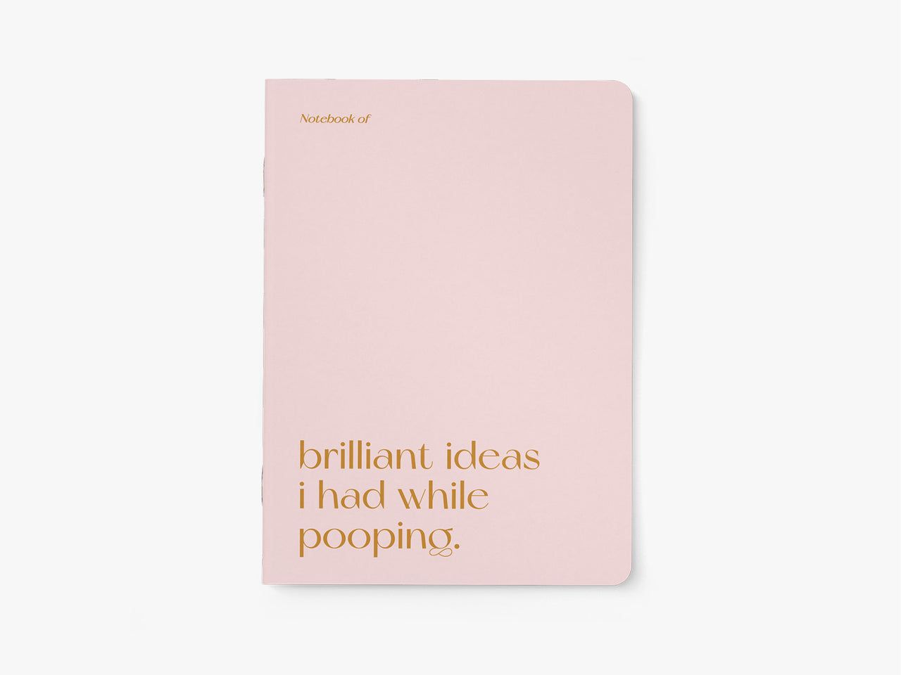 Notebook - Brilliant pooping