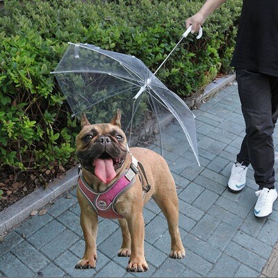 Pet Supplies Pet Umbrella Teddy Small Dog Umbrella With Traction Dog Chain Walking Dog