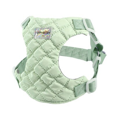 Adjustable Dog Walking Special Sleeve Strap Rope New High Color Value Dog Traction Rope Anti-break