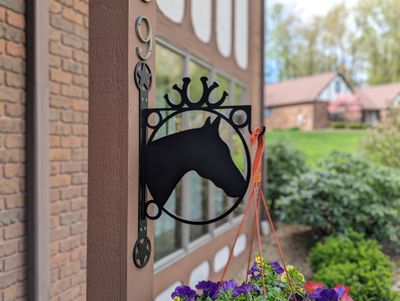 Heavy Duty Indoor/Outdoor Decorative Plant Hanger, Large Centerpiece with Horse with Horseshoes and Star Mounting Bracket