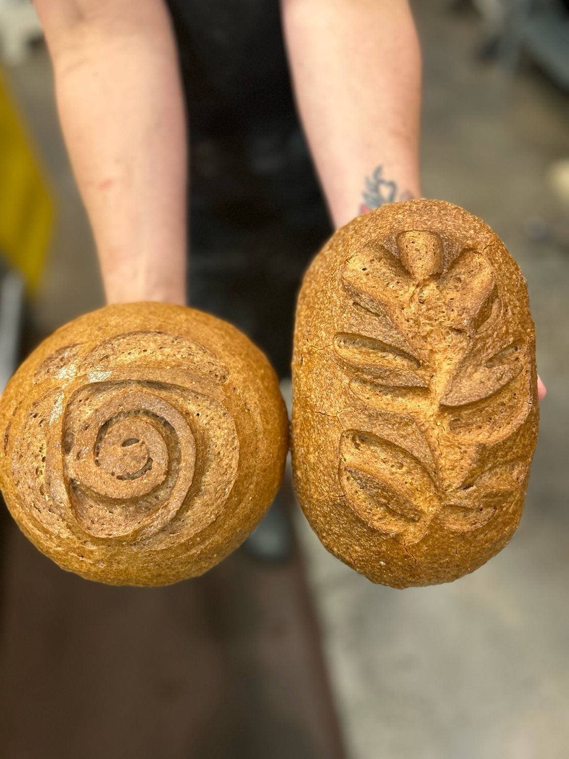 Sourdough Starter