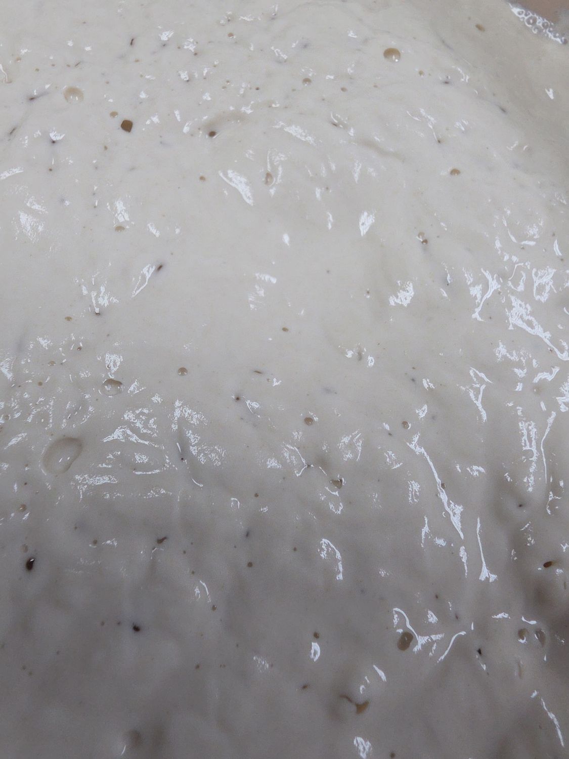 Sourdough Starter