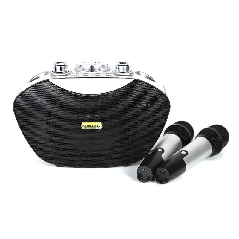 Karaoke Speaker with Wireless Microphone Mobile KTV Speaker Atmosphere Light
