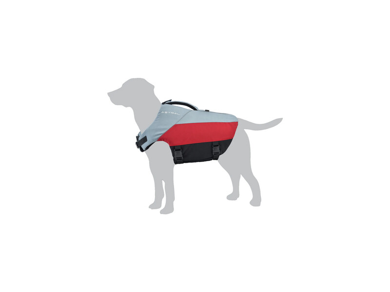 BirdDog