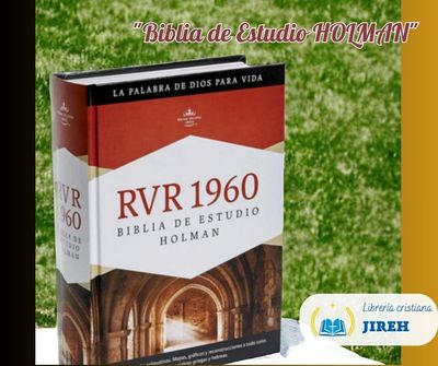 Biblias de Estudio