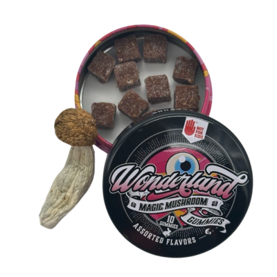 wonderland - infused vegan gummies - shroom - 4g