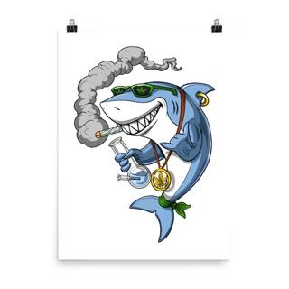 panda&#39;s choice - sharks breath - indica hybrid