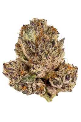 panda&#39;s choice - milk &amp; cookiez - indica