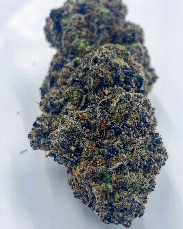 panda's choice - queso blanco - hybrid