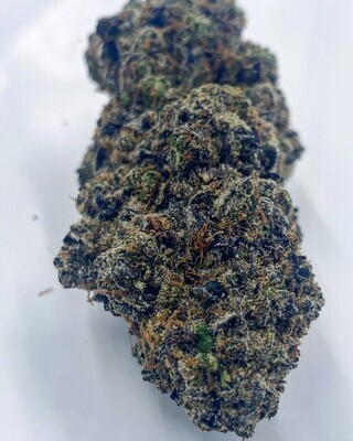 panda's choice - queso blanco - hybrid