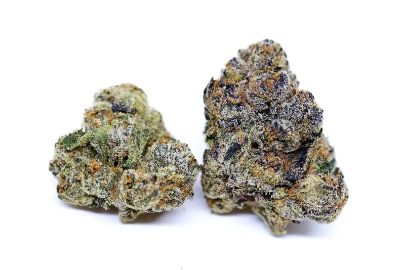 panda's choice - black betty - hybrid