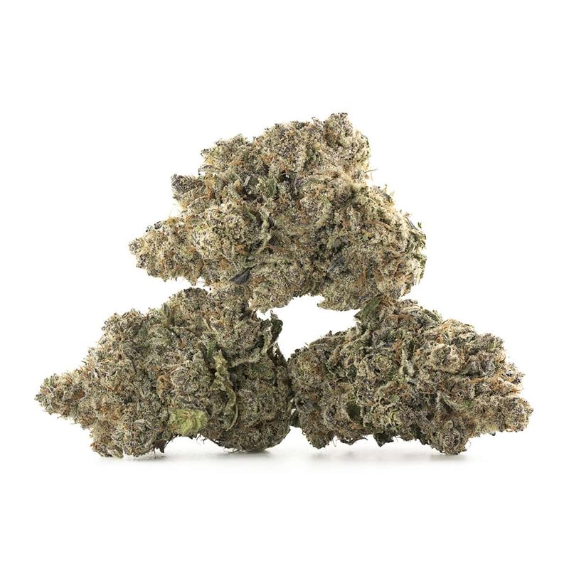 panda's choice - white cherry bombay - hybrid