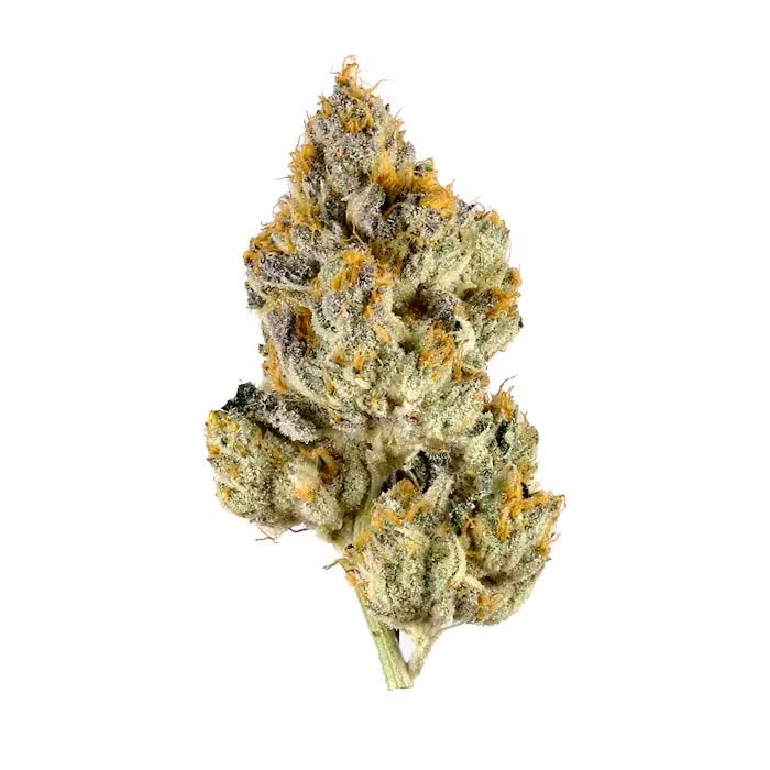 panda's choice - lemon cherry gelato - hybrid
