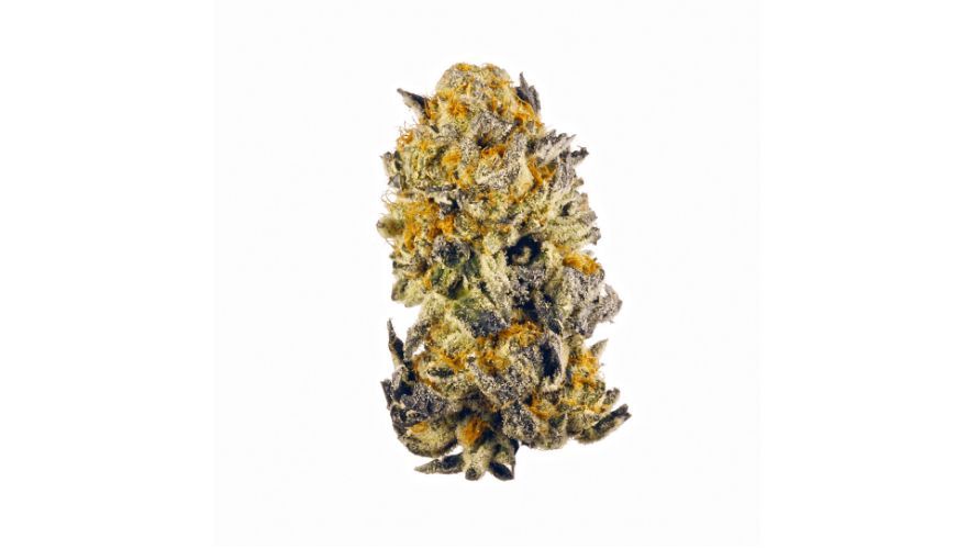 panda's choice - Black Cherry Punch - indica hybrid