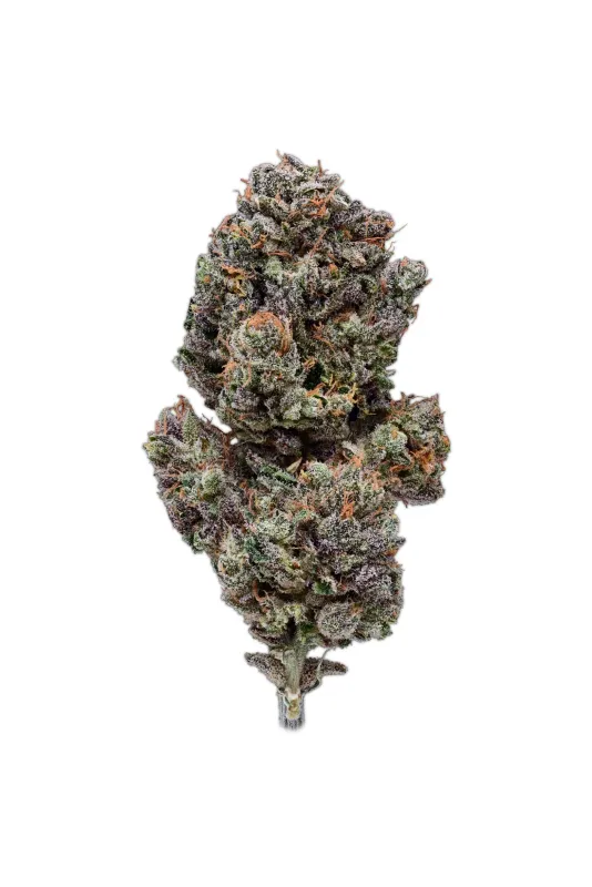 panda's choice - space candy - 50/50 hybrid