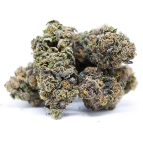 panda's choice -  91- G47 - hybrid