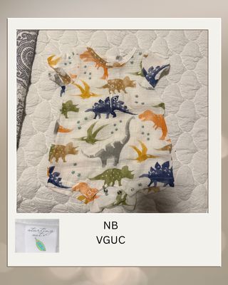 NB Muslin Dino Romper