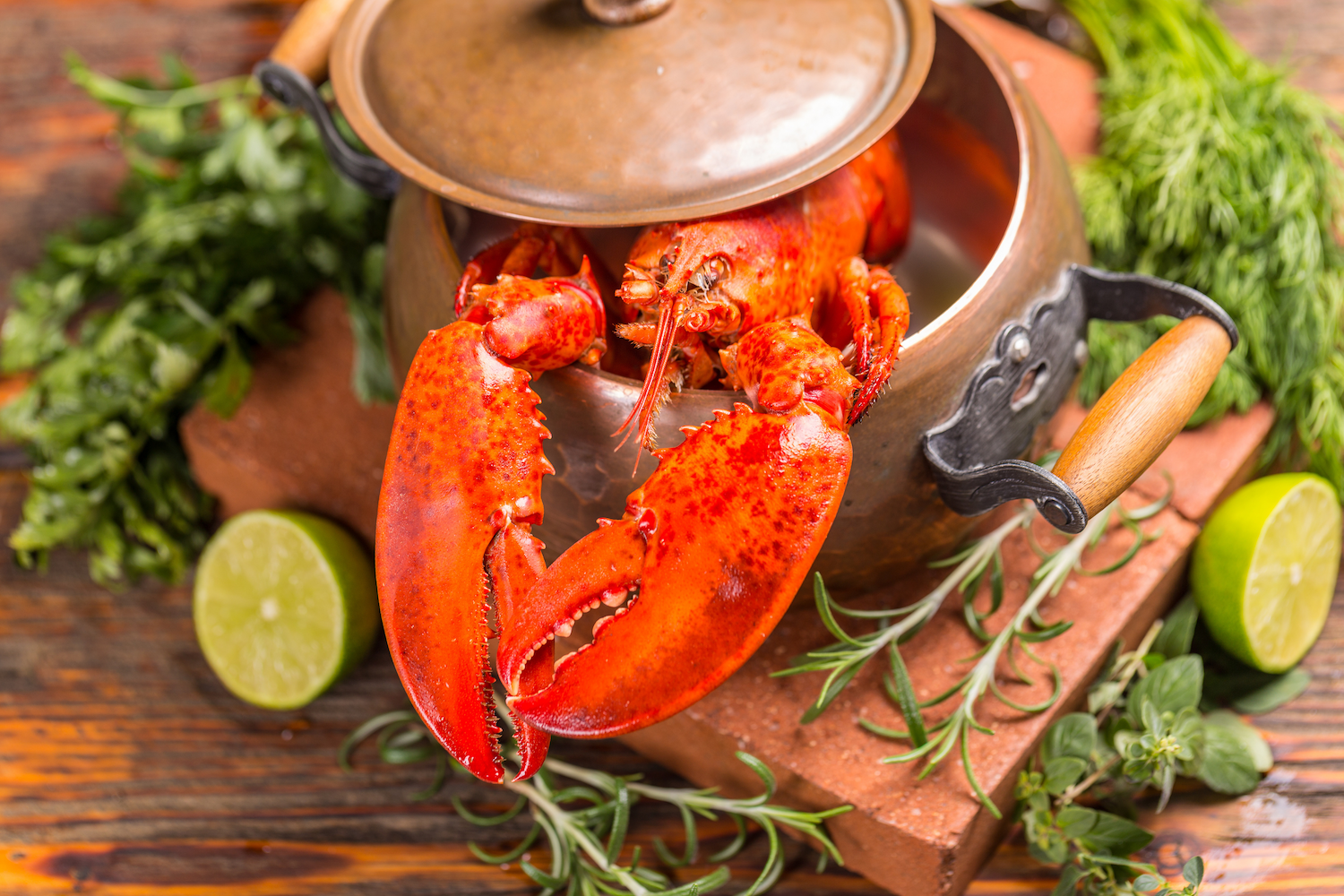 Lobster Dinner for ten