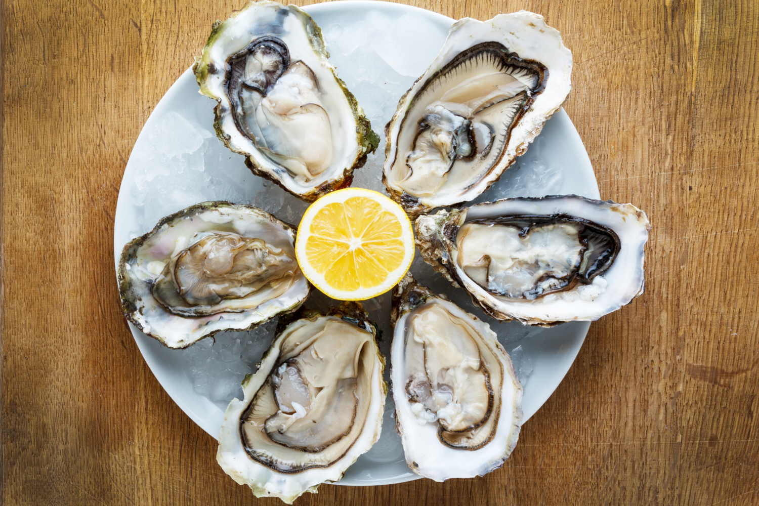 Maritime Oysters